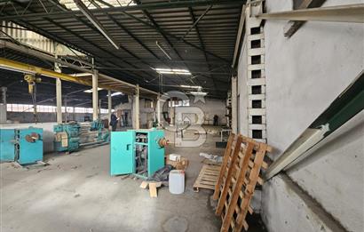 E-5 CEPHELİ | LOJİSTİĞE UYGUN | KİRALIK FABRİKA / DEPO