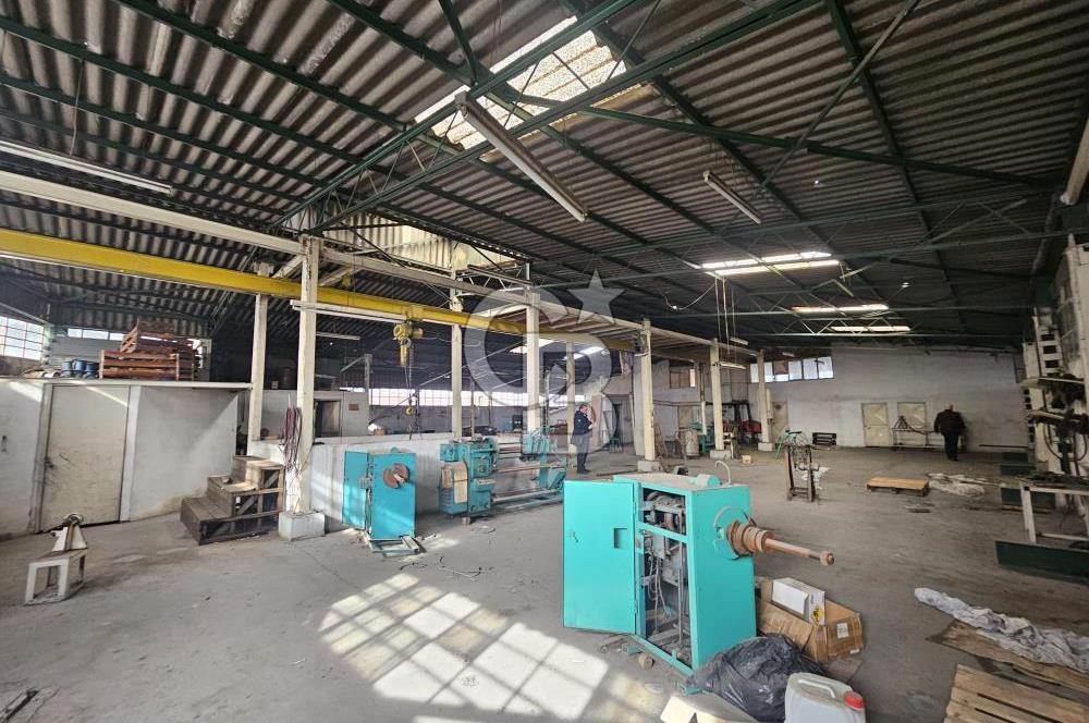 E-5 CEPHELİ | LOJİSTİĞE UYGUN | KİRALIK FABRİKA / DEPO