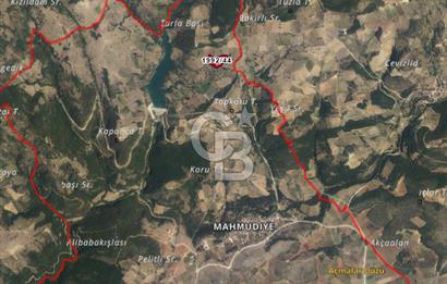 İZNİK MAHMUDİYEDE GENİŞ METRAJLI YATIRIMLIK TARLA 13.364 m²