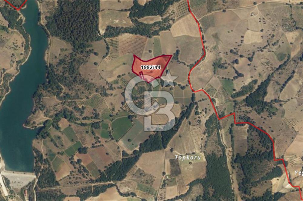 İZNİK MAHMUDİYEDE GENİŞ METRAJLI YATIRIMLIK TARLA 13.364 m²