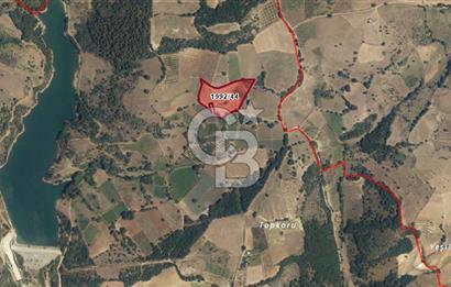 İZNİK MAHMUDİYEDE GENİŞ METRAJLI YATIRIMLIK TARLA 13.364 m²