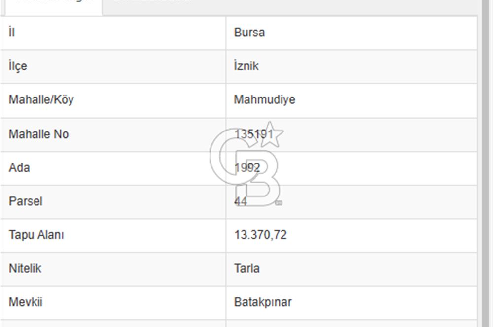 İZNİK MAHMUDİYEDE GENİŞ METRAJLI YATIRIMLIK TARLA 13.364 m²