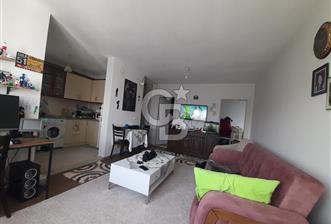 Coldwell Banker Leader'dan Toki Yenimahalle 2.Etap Satılık 1+1 - 3 - 332741