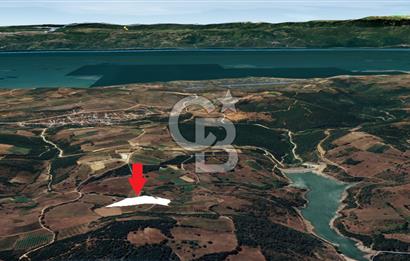 İZNİK MAHMUDİYEDE GENİŞ METRAJLI YATIRIMLIK TARLA 13.364 m²