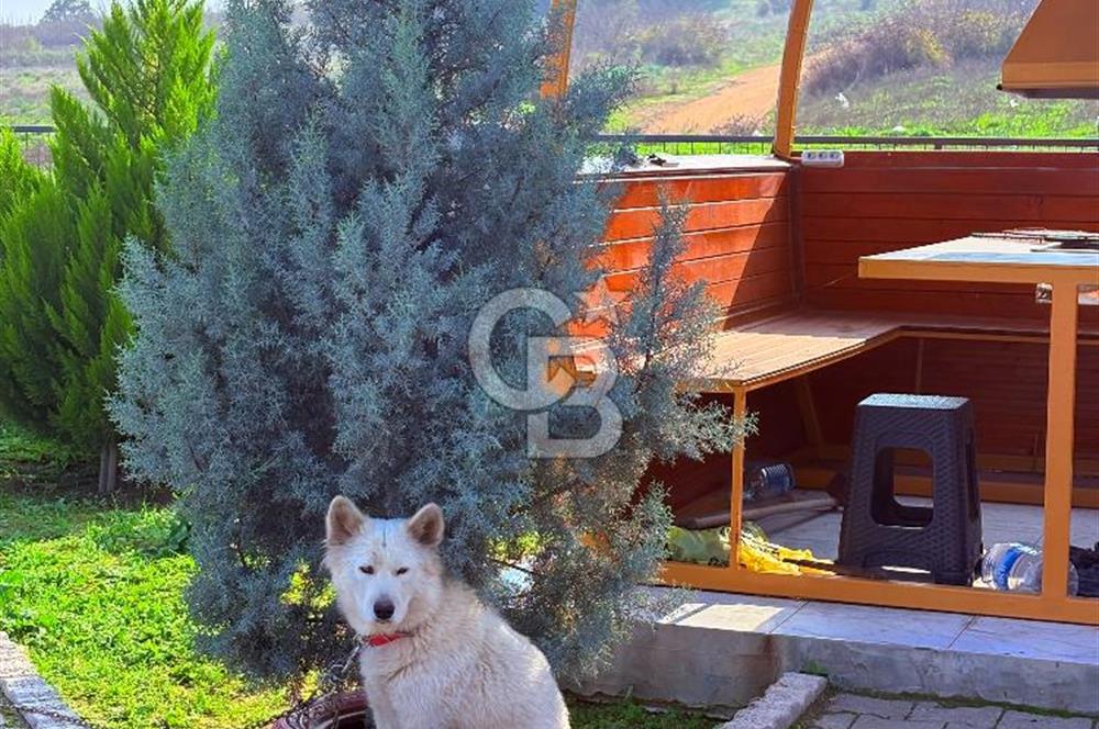 ÇANAKKALE BİGA BAHÇELİ KÖYÜNDE DOĞA İÇİNDE AHŞAP EV