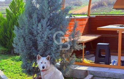 ÇANAKKALE BİGA BAHÇELİ KÖYÜNDE DOĞA İÇİNDE AHŞAP EV