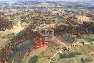 Sakarya/Adapazarı 15 Temmuz Mah. 2.196 m² Yatırımlık Tarla - 1 - 332742