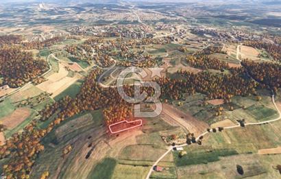 Sakarya/Adapazarı 15 Temmuz Mah. 2.196 m² Yatırımlık Tarla