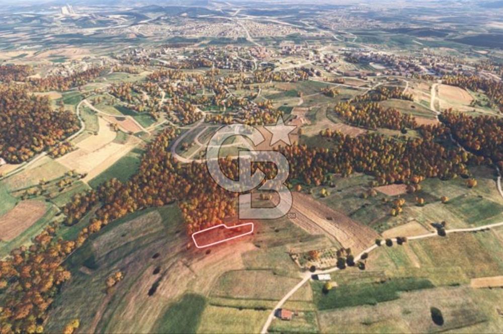 Sakarya/Adapazarı 15 Temmuz Mah. 2.196 m² Yatırımlık Tarla