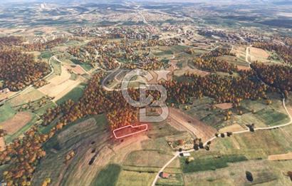 Sakarya/Adapazarı 15 Temmuz Mah. 2.196 m² Yatırımlık Tarla