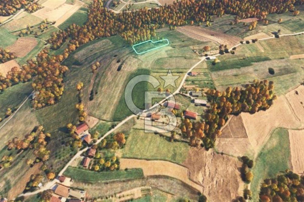 Sakarya/Adapazarı 15 Temmuz Mah. 2.196 m² Yatırımlık Tarla