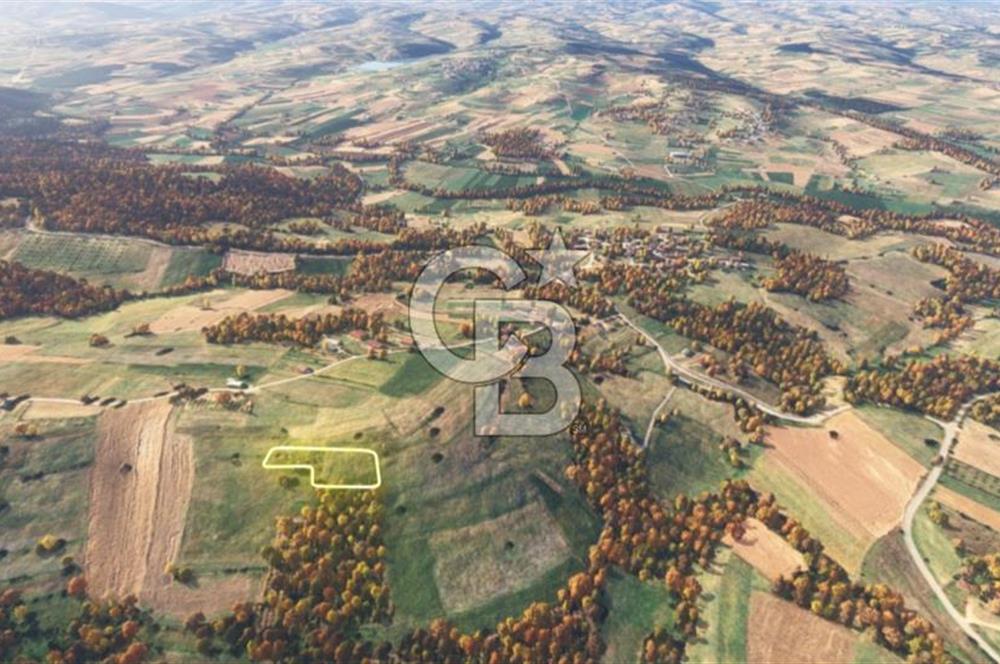 Sakarya/Adapazarı 15 Temmuz Mah. 2.196 m² Yatırımlık Tarla