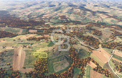 Sakarya/Adapazarı 15 Temmuz Mah. 2.196 m² Yatırımlık Tarla