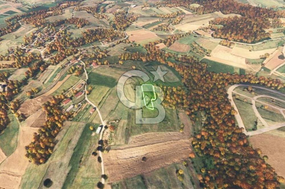 Sakarya/Adapazarı 15 Temmuz Mah. 2.196 m² Yatırımlık Tarla