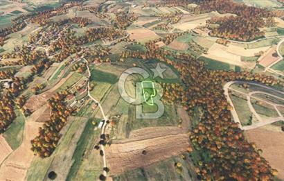 Sakarya/Adapazarı 15 Temmuz Mah. 2.196 m² Yatırımlık Tarla