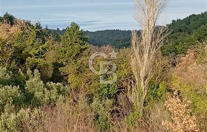 CB CLASS GÜNDOĞDU DENİZ MANZARALI TARLA