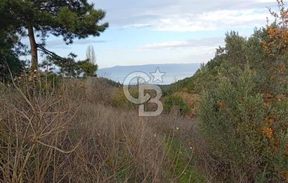 CB CLASS GÜNDOĞDU DENİZ MANZARALI TARLA