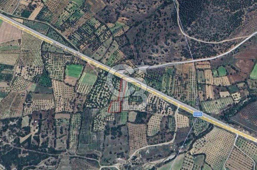 Aydın Karacasu Ataeymirde Anayola Cepheli Satılık Zeytinlik