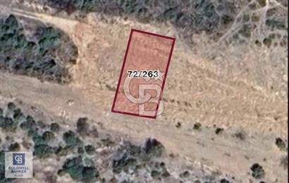 CB BLACK'TEN BİLECİK GÖLPAZARINDA KONUT İMARLI MANZARALI ARSA