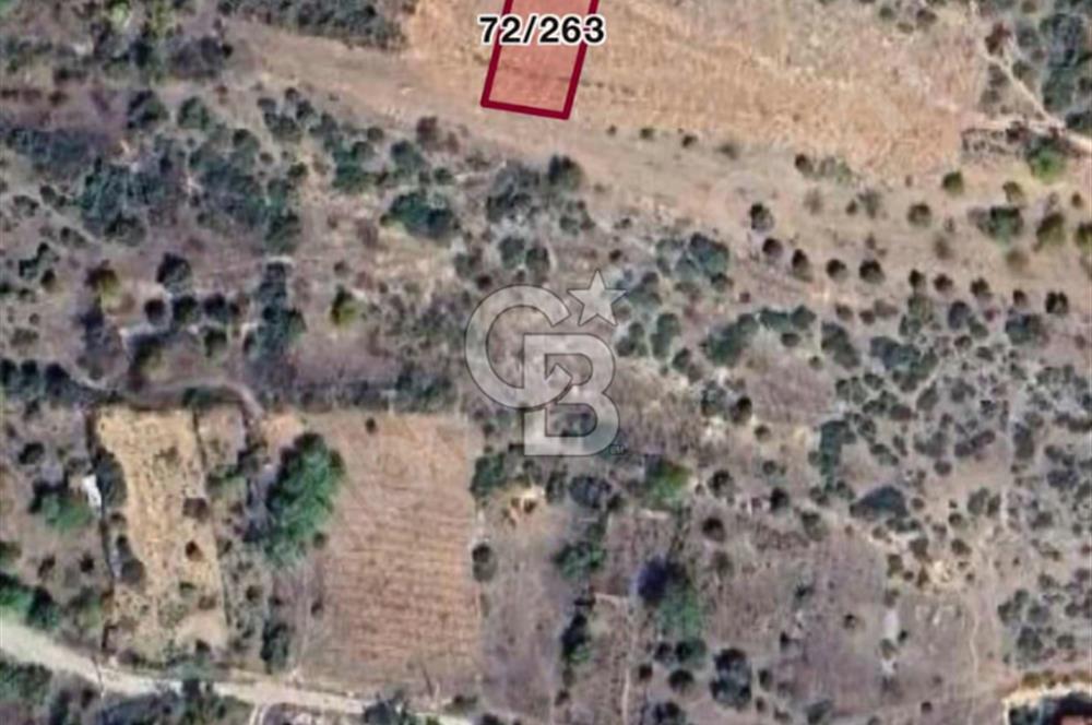 CB BLACK'TEN BİLECİK GÖLPAZARINDA KONUT İMARLI MANZARALI ARSA