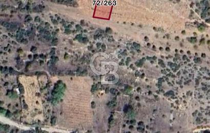 CB BLACK'TEN BİLECİK GÖLPAZARINDA KONUT İMARLI MANZARALI ARSA