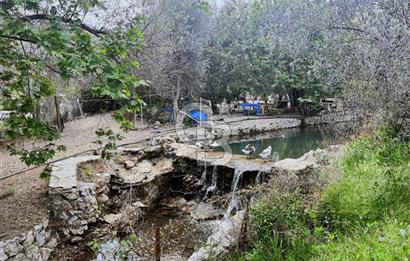 Adatepe – Mıhlı Şelalesi Yolu , dere ve şelale olan 11.738 m2 Zeytinlik