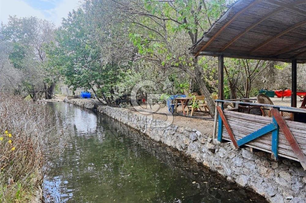 Adatepe – Mıhlı Şelalesi Yolu , dere ve şelale olan 11.738 m2 Zeytinlik