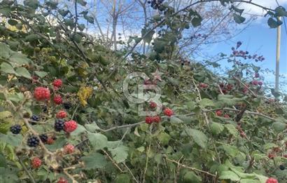 İzmit Merkezde Konut İmarlı Arsa