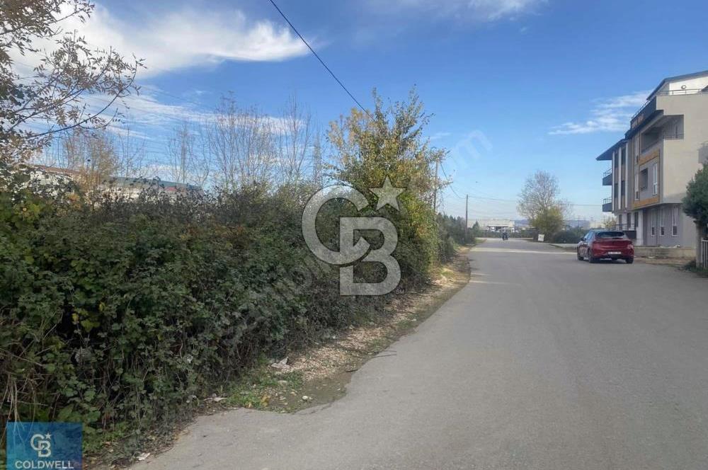 İzmit Merkezde Konut İmarlı Arsa