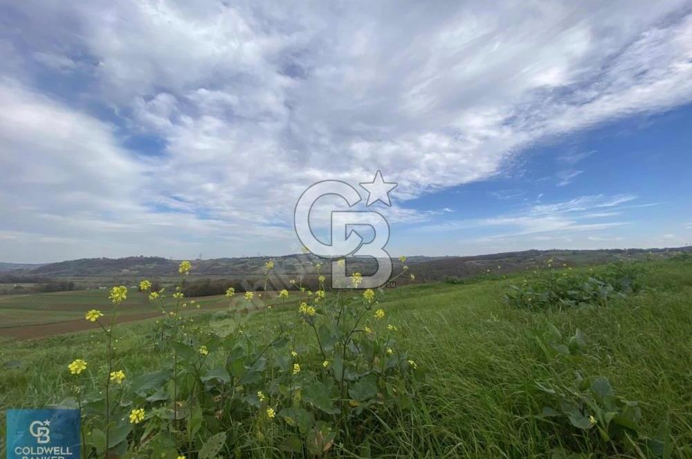 Kandıra Sarıgazi’de Fırsat Arsa