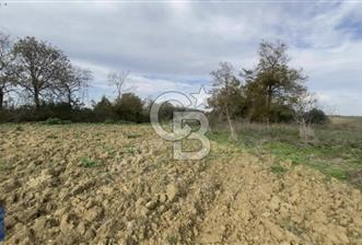 Kandıra Kaymaz Arsa Fırsatı - 1 - 332795