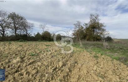 Kandıra Kaymaz Arsa Fırsatı