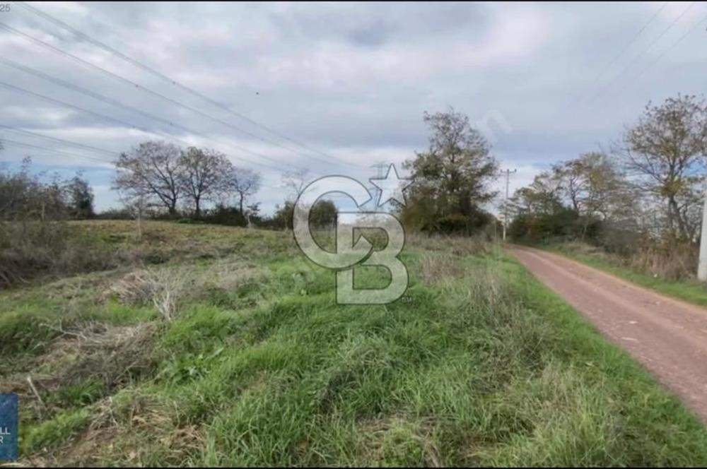 Kandıra Kaymaz Arsa Fırsatı