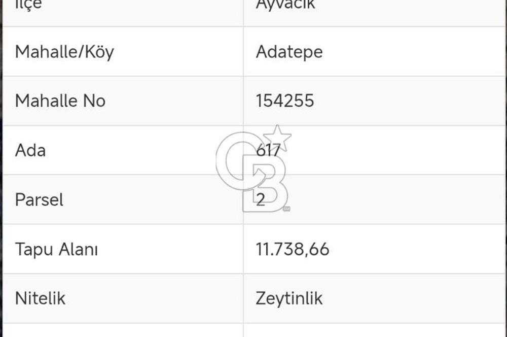 Adatepe – Mıhlı Şelalesi Yolu , dere ve şelale olan 11.738 m2 Zeytinlik
