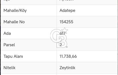 Adatepe – Mıhlı Şelalesi Yolu , dere ve şelale olan 11.738 m2 Zeytinlik