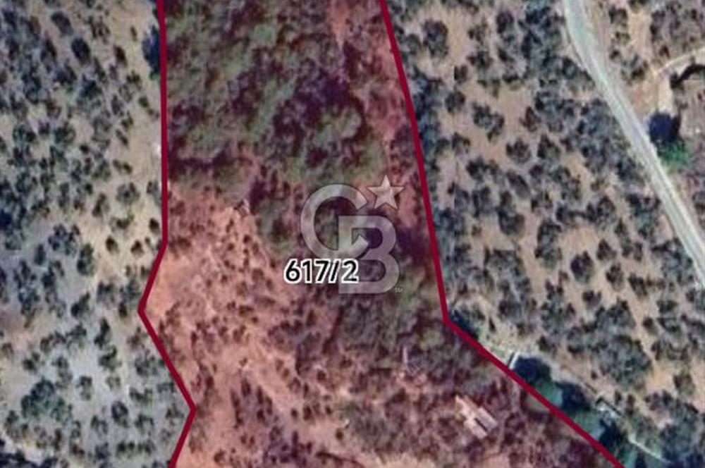 Adatepe – Mıhlı Şelalesi Yolu , dere ve şelale olan 11.738 m2 Zeytinlik