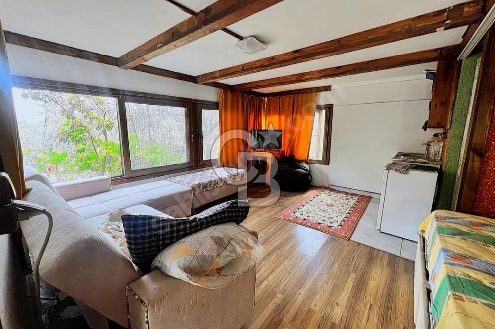 Adatepe – Mıhlı Şelalesi Yolu , dere ve şelale olan 11.738 m2 Zeytinlik