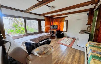 Adatepe – Mıhlı Şelalesi Yolu , dere ve şelale olan 11.738 m2 Zeytinlik