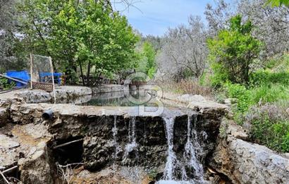 Adatepe – Mıhlı Şelalesi Yolu , dere ve şelale olan 11.738 m2 Zeytinlik