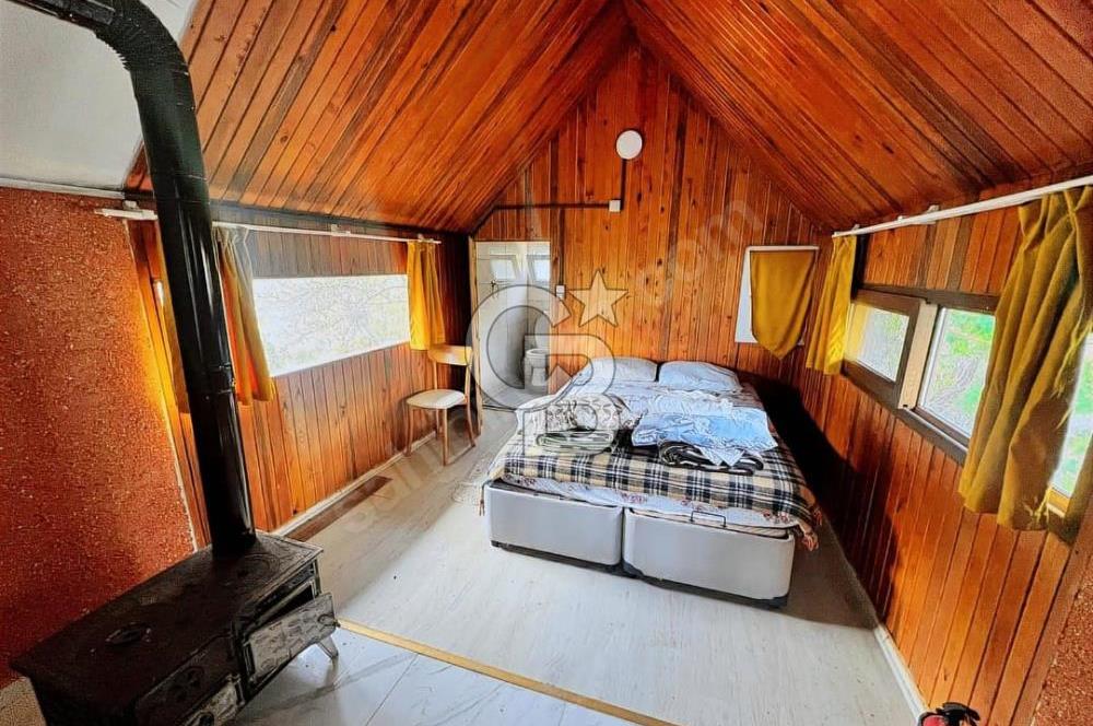 Adatepe – Mıhlı Şelalesi Yolu , dere ve şelale olan 11.738 m2 Zeytinlik