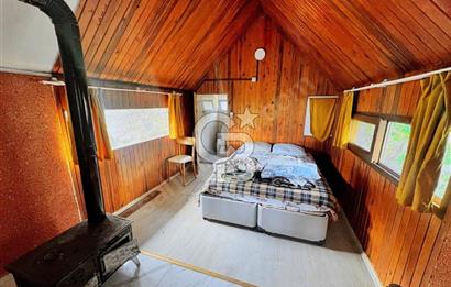 Adatepe – Mıhlı Şelalesi Yolu , dere ve şelale olan 11.738 m2 Zeytinlik