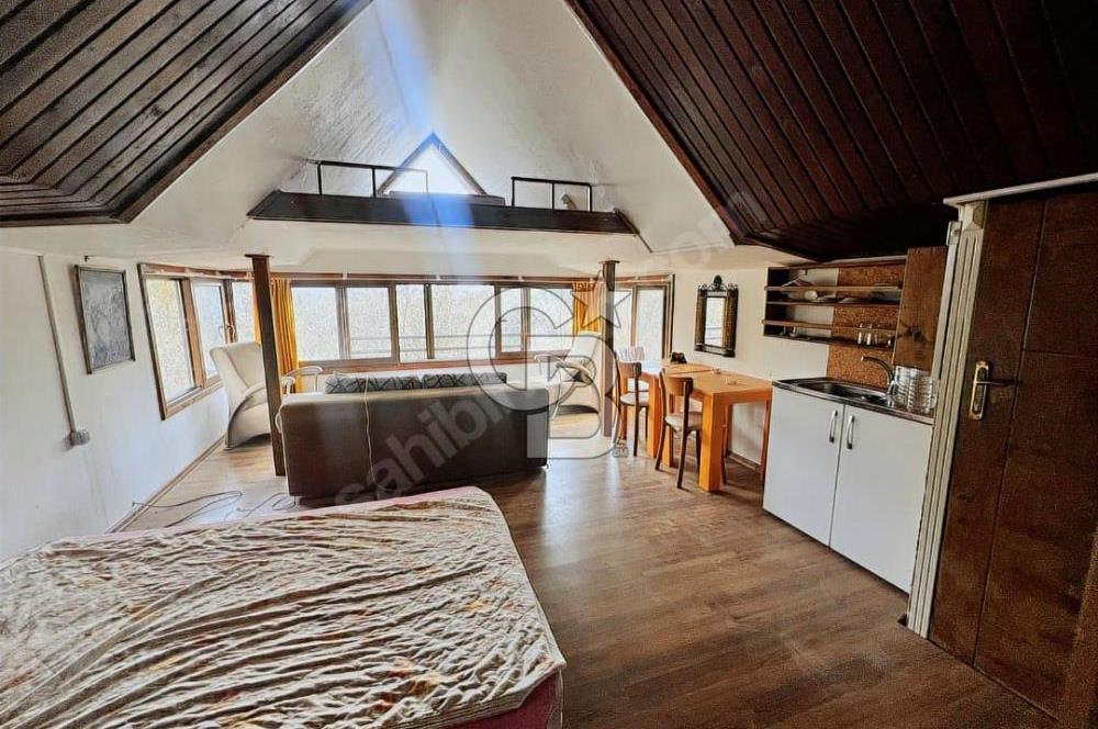 Adatepe – Mıhlı Şelalesi Yolu , dere ve şelale olan 11.738 m2 Zeytinlik