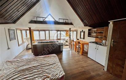 Adatepe – Mıhlı Şelalesi Yolu , dere ve şelale olan 11.738 m2 Zeytinlik