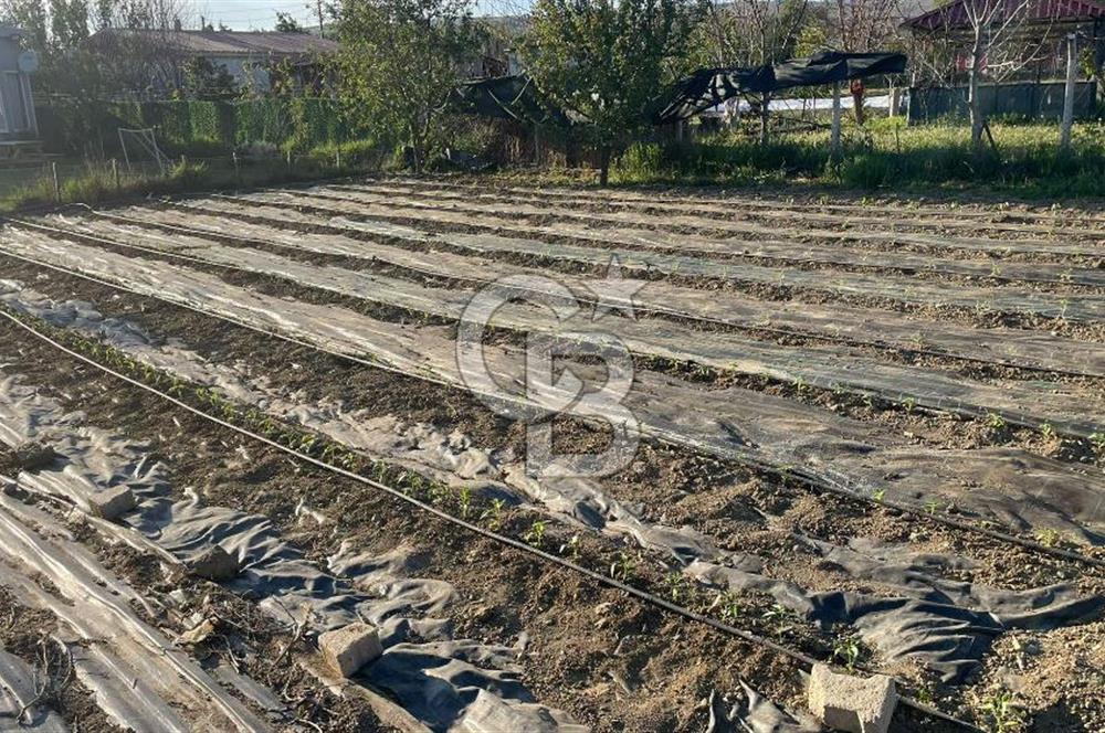 CB CITY' DEN ESKİŞEHİR/TEPEBAŞI EĞRİÖZ MAH SATILIK TARLA