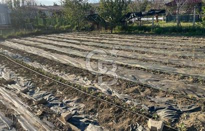 CB CITY' DEN ESKİŞEHİR/TEPEBAŞI EĞRİÖZ MAH SATILIK TARLA