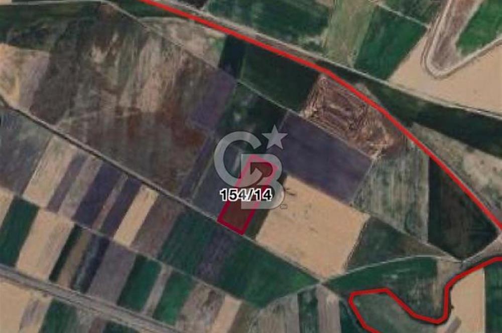 CB CITY'DEN BEYLİKOVA MERKEZDE SATILIK TARLA