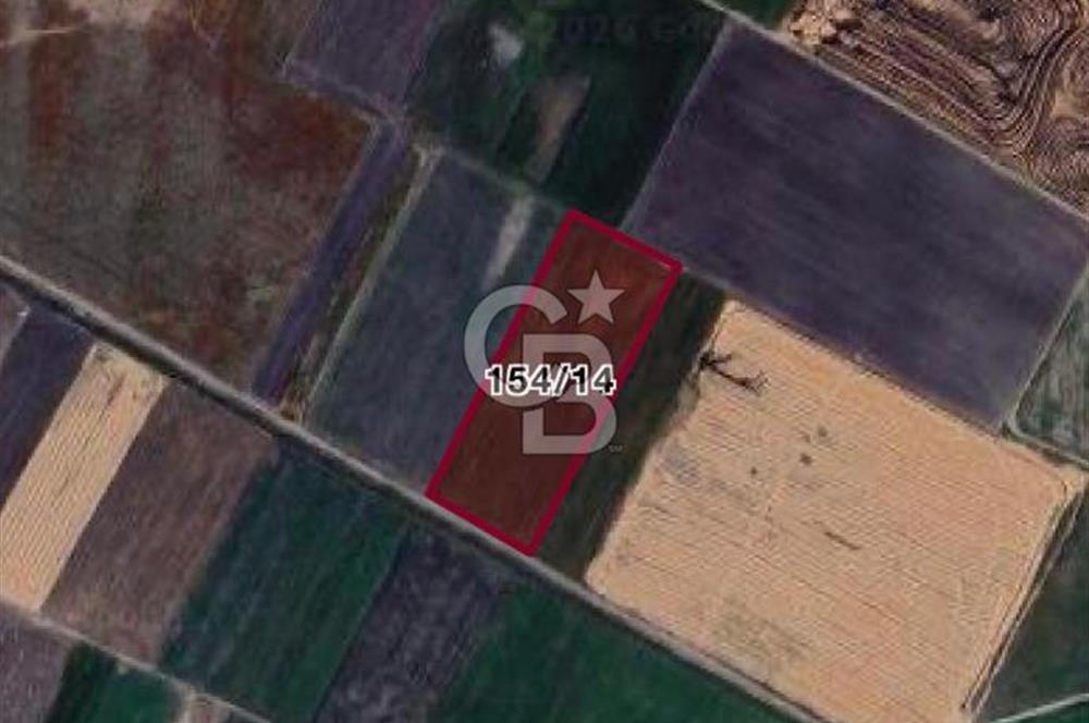 CB CITY'DEN BEYLİKOVA MERKEZDE SATILIK TARLA