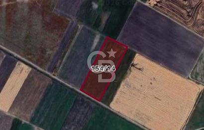 CB CITY'DEN BEYLİKOVA MERKEZDE SATILIK TARLA