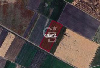 CB CITY'DEN BEYLİKOVA MERKEZDE SATILIK TARLA - 8 - 332856