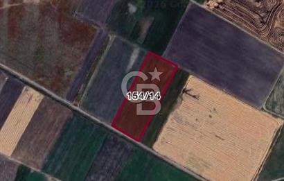 CB CITY'DEN BEYLİKOVA MERKEZDE SATILIK TARLA